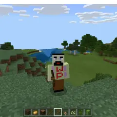Jak stworzyć skina w Minecraft i wyróżnić się w grze