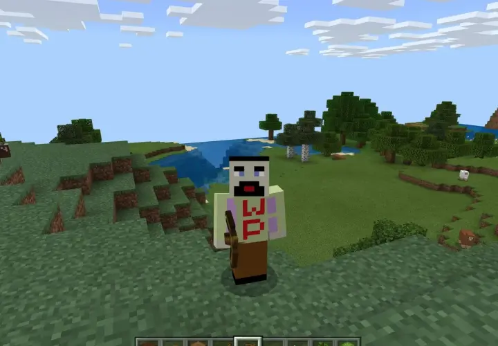 Jak stworzyć skina w Minecraft i wyróżnić się w grze