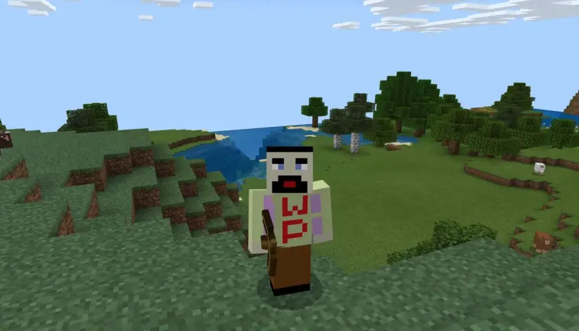Jak stworzyć skina w Minecraft i wyróżnić się w grze
