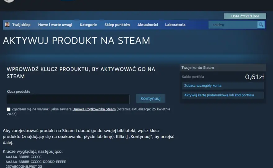 Jak dodać gry na Steam i uniknąć najczęstszych błędów